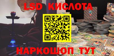 прущие грибы Усть-Илимск