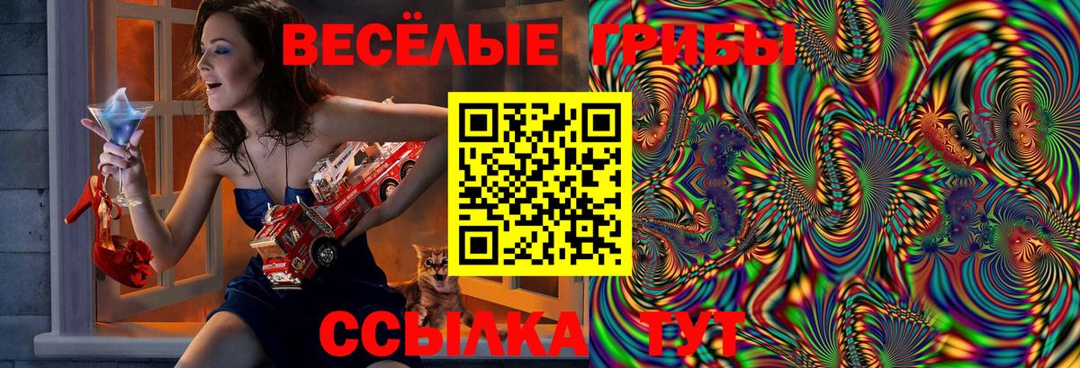 даркнет сайт  Псилоцибиновые грибы Psilocybine cubensis  Вход с VPN  Асбест 